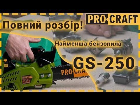 Бензопила ланцюгова PRO-CRAFT GS-250 (1 шина, 1 ланцюг 30) 600250 фото
