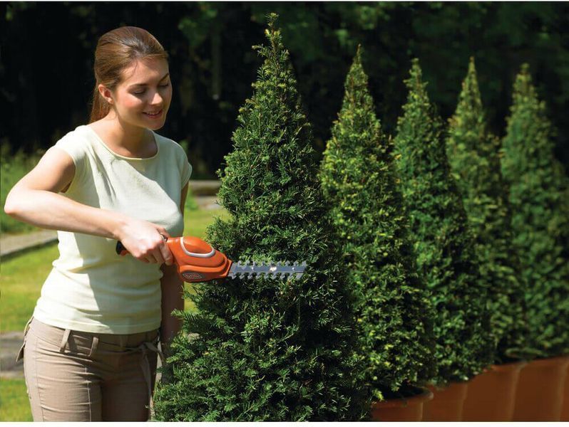 Кусторез-ножницы аккумуляторные BLACK+DECKER GSL700 GSL700 фото