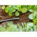Заглушка Gardena Micro-Drip-System для шлангов 4,6 мм (3/16") 10 шт 13215-20.000.00 фото 4