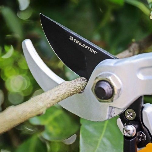 Секатор Gruntek Rabe Professional 200 мм 295215020 фото