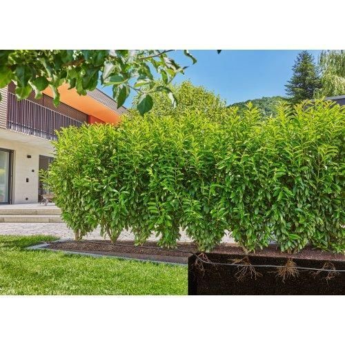 Шланг для микрокапельного полива Gardena Micro-Drip-System 13 мм 25 м 13503-20.000.00 фото